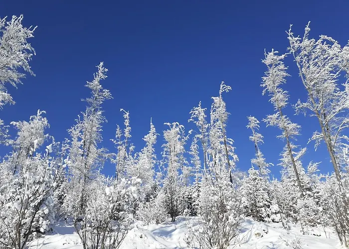 Kilger Πανσιόν